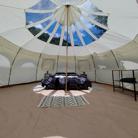 Luna Rock Glamping Brezoi - Blue Scai מראה חיצוני תמונה