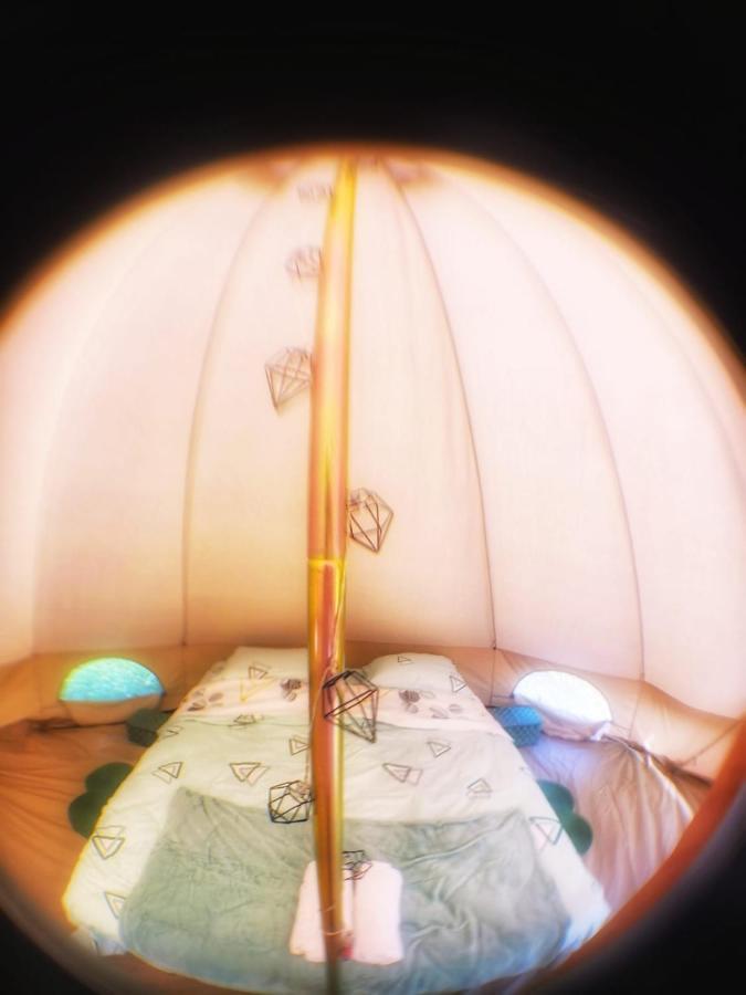 Luna Rock Glamping Brezoi - Blue Scai מראה חיצוני תמונה