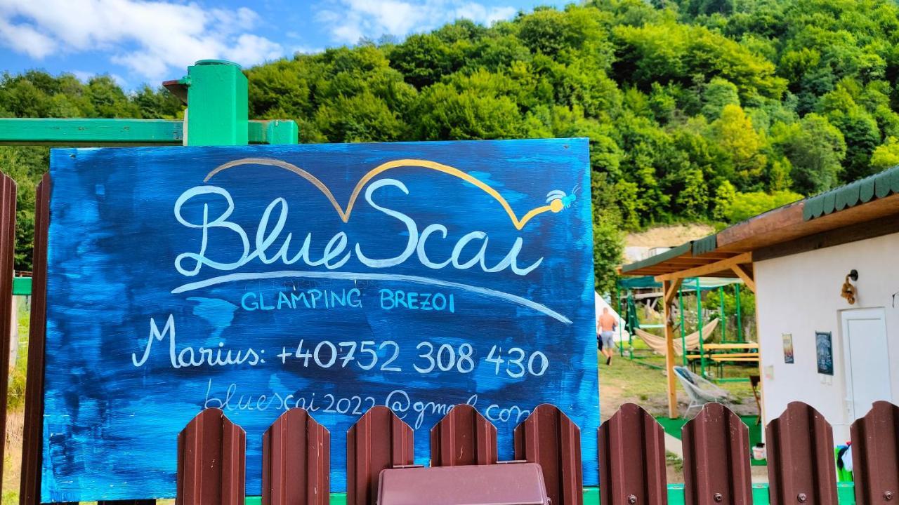 Luna Rock Glamping Brezoi - Blue Scai מראה חיצוני תמונה